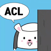 ACL.png